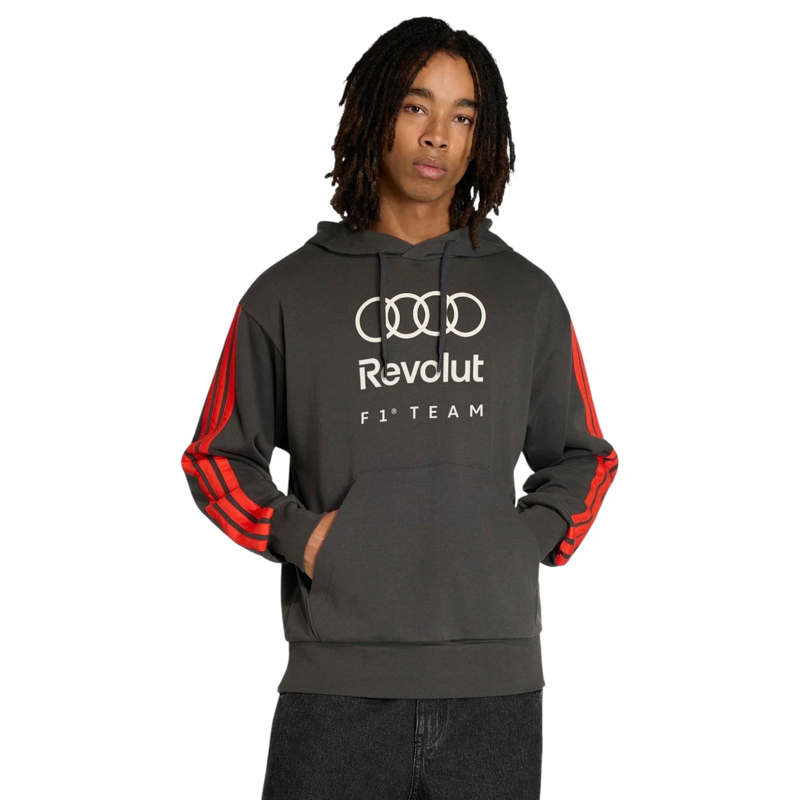 adidas Audi Formula 1 Motorsport DNA Adults Hoodie