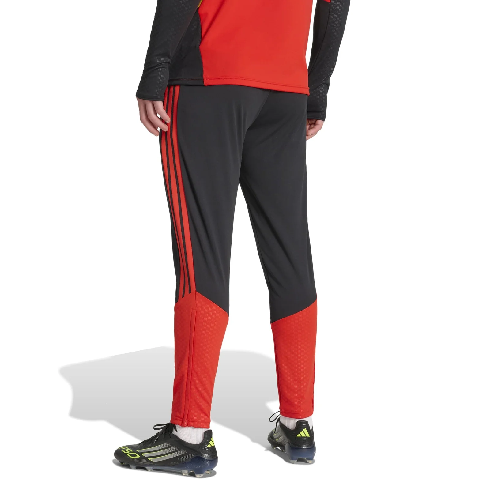 adidas Belgium Football World Cup 2026 Adults Training Pants - Image 2