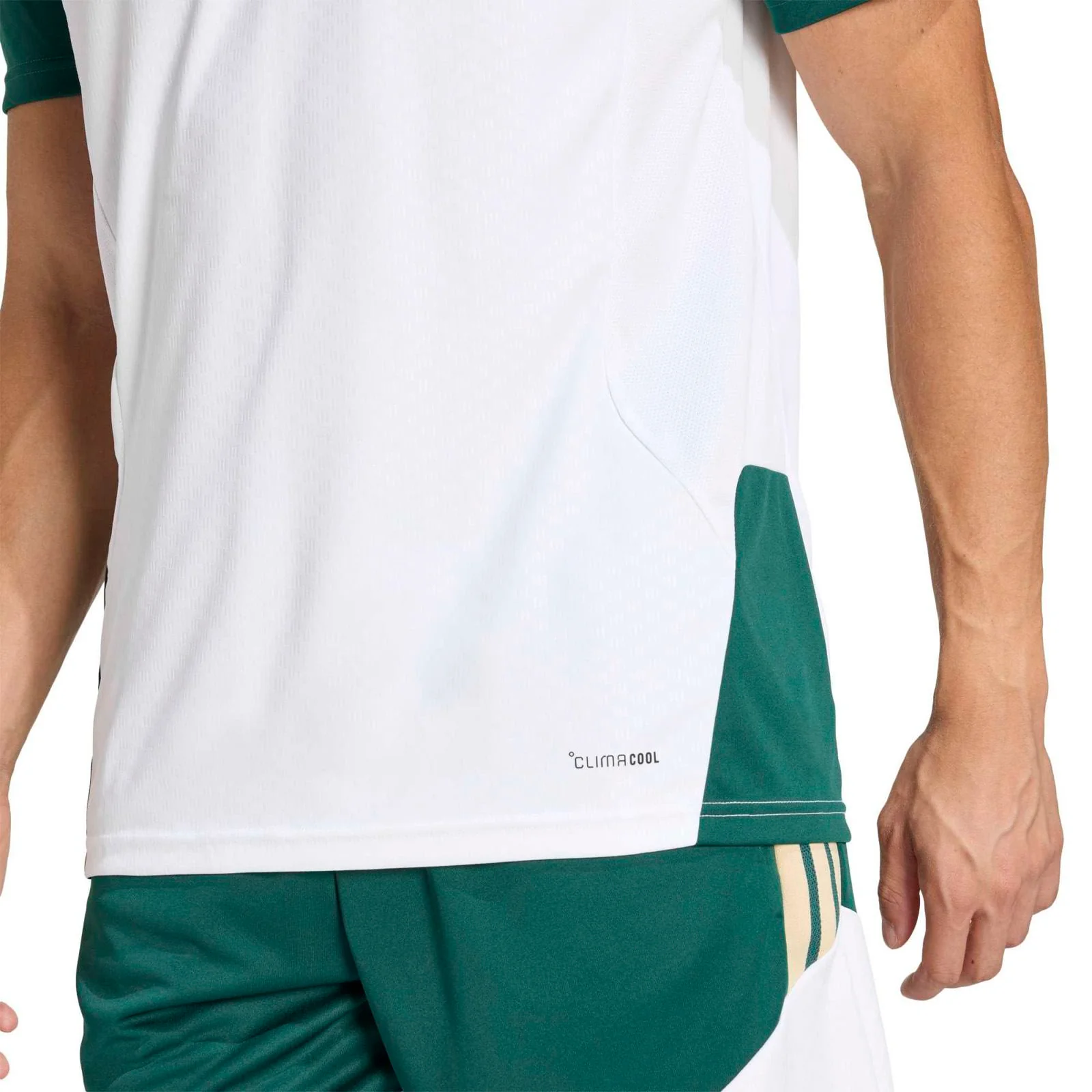 adidas Italy Football World Cup 2026 Adults Training Jersey - Image 6