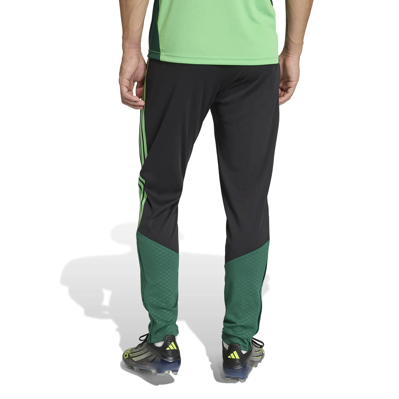 adidas Mexico Football World Cup 2026 Tiro Training Pants - Image 2