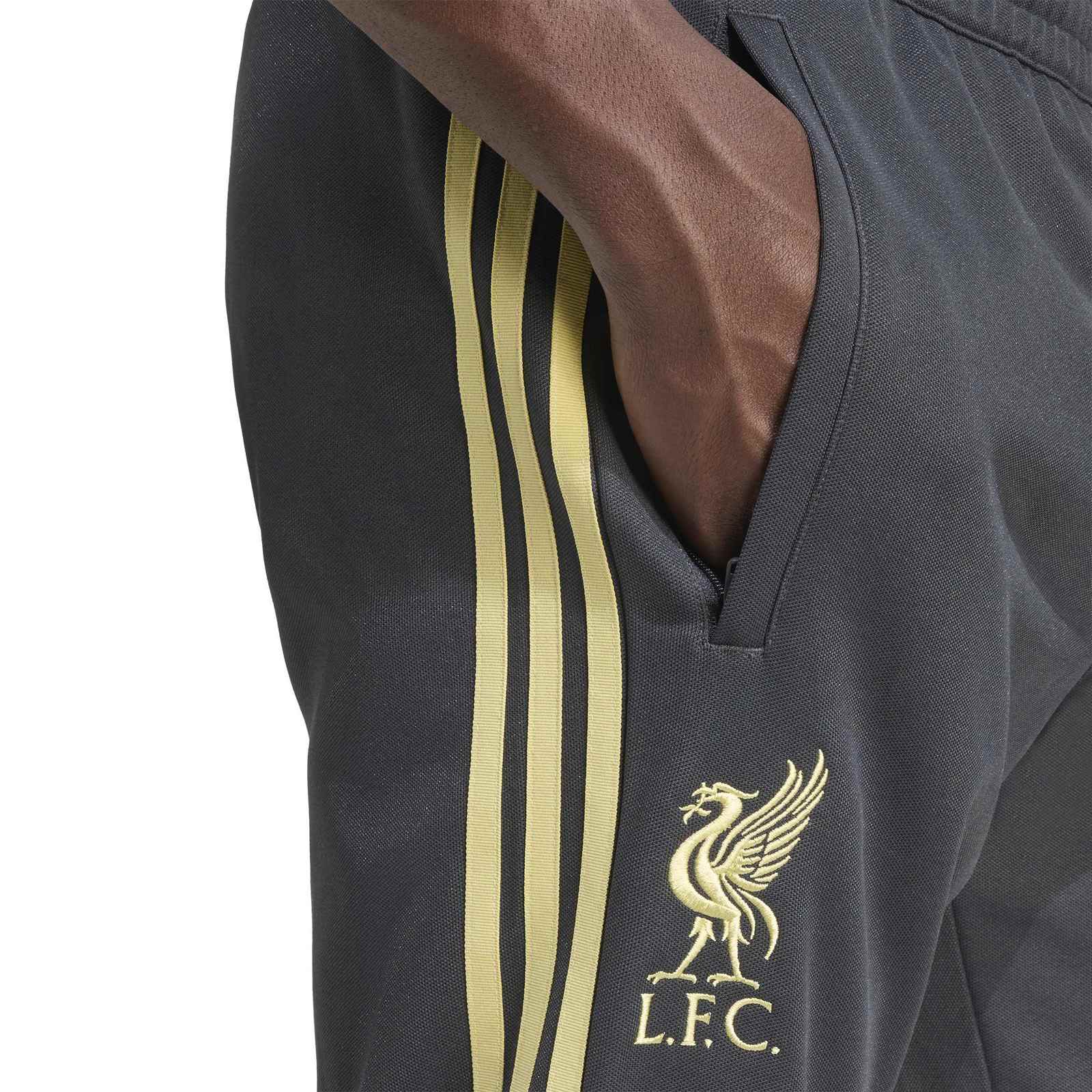adidas Liverpool Football 2025/26 Adults Slim-Fit Track Pant - Image 3
