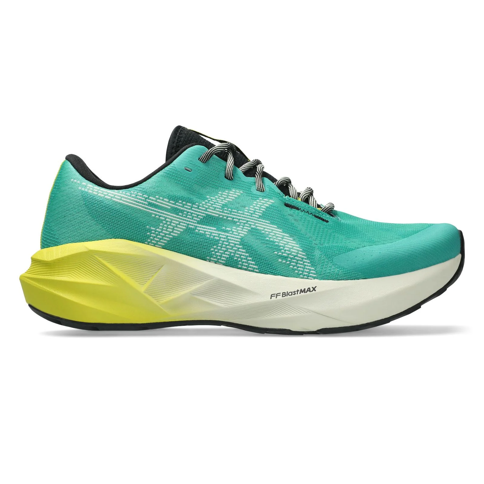 Asics NOVABLASTâ„¢ 5 TR Mens Running Shoes