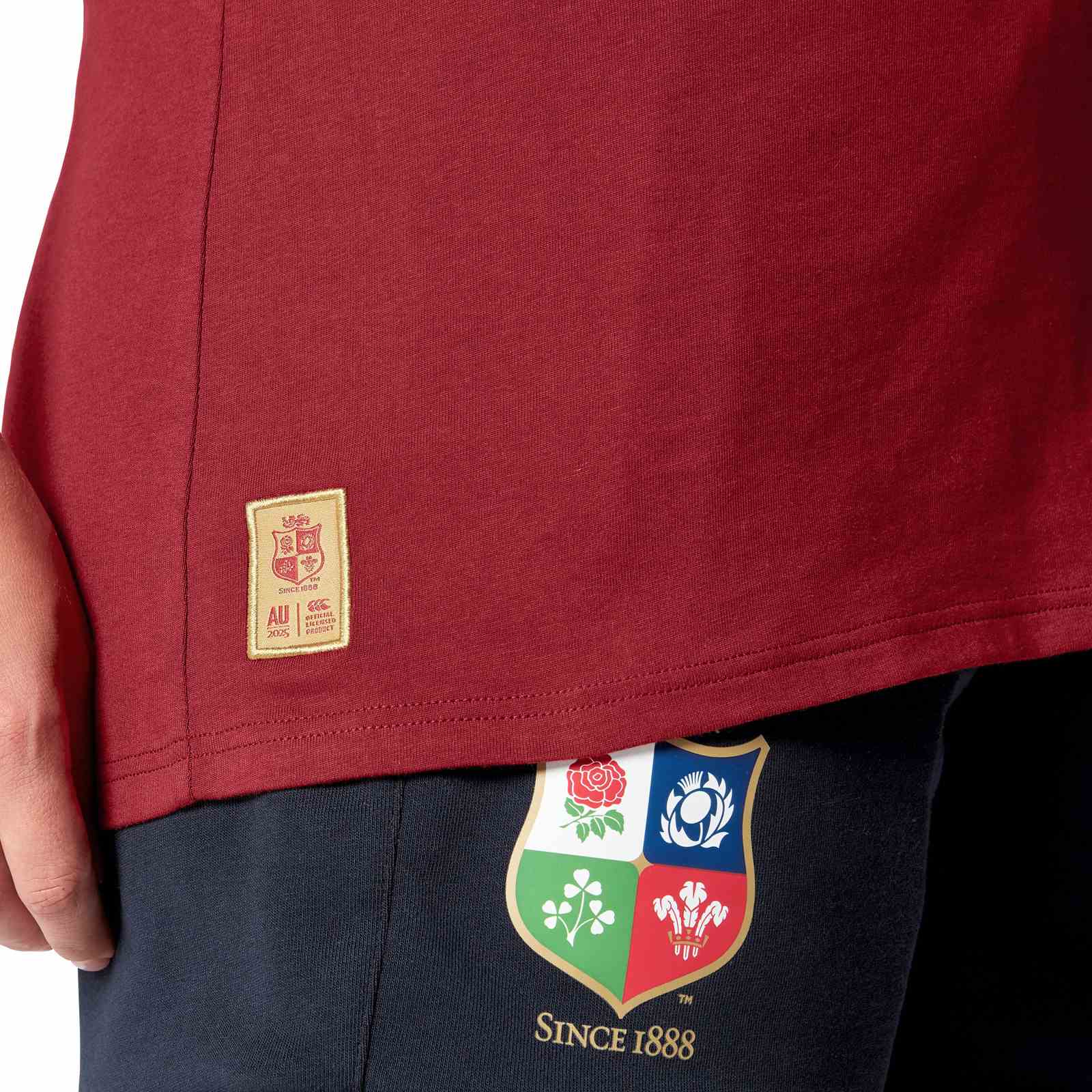 Canterbury British & Irish Lions Rugby 2024/25 Womens Cotton T-Shirt - Image 8