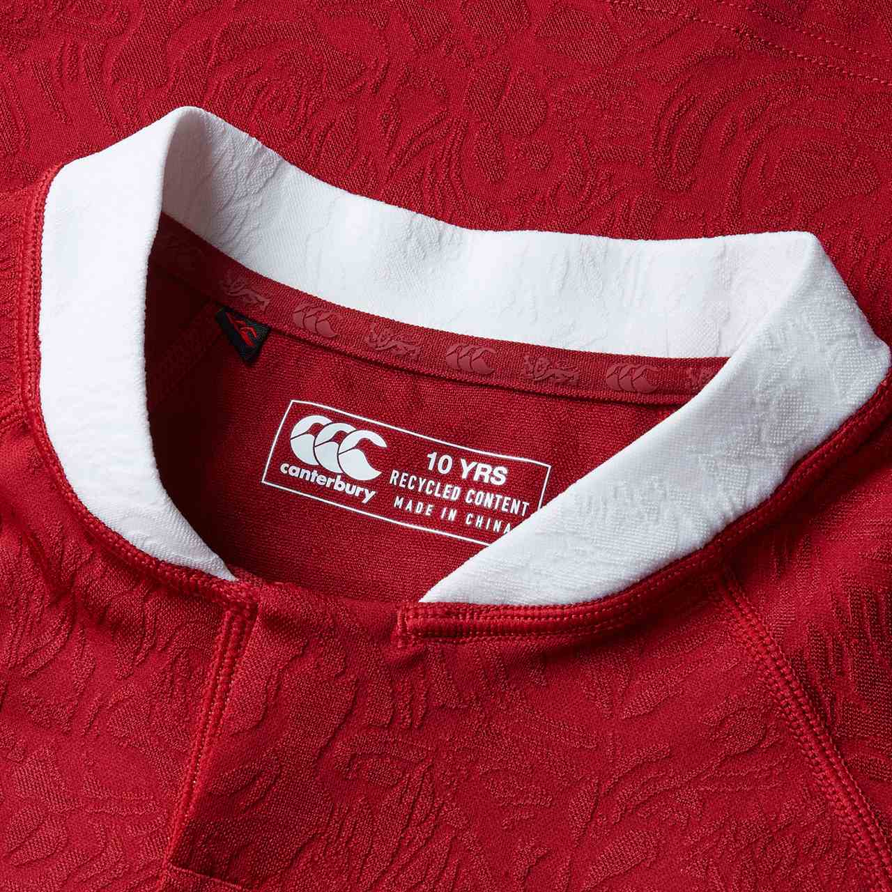 British & Irish Lions Rugby 2024/25 Kids Short Sleeved Replica Jersey - Image 9