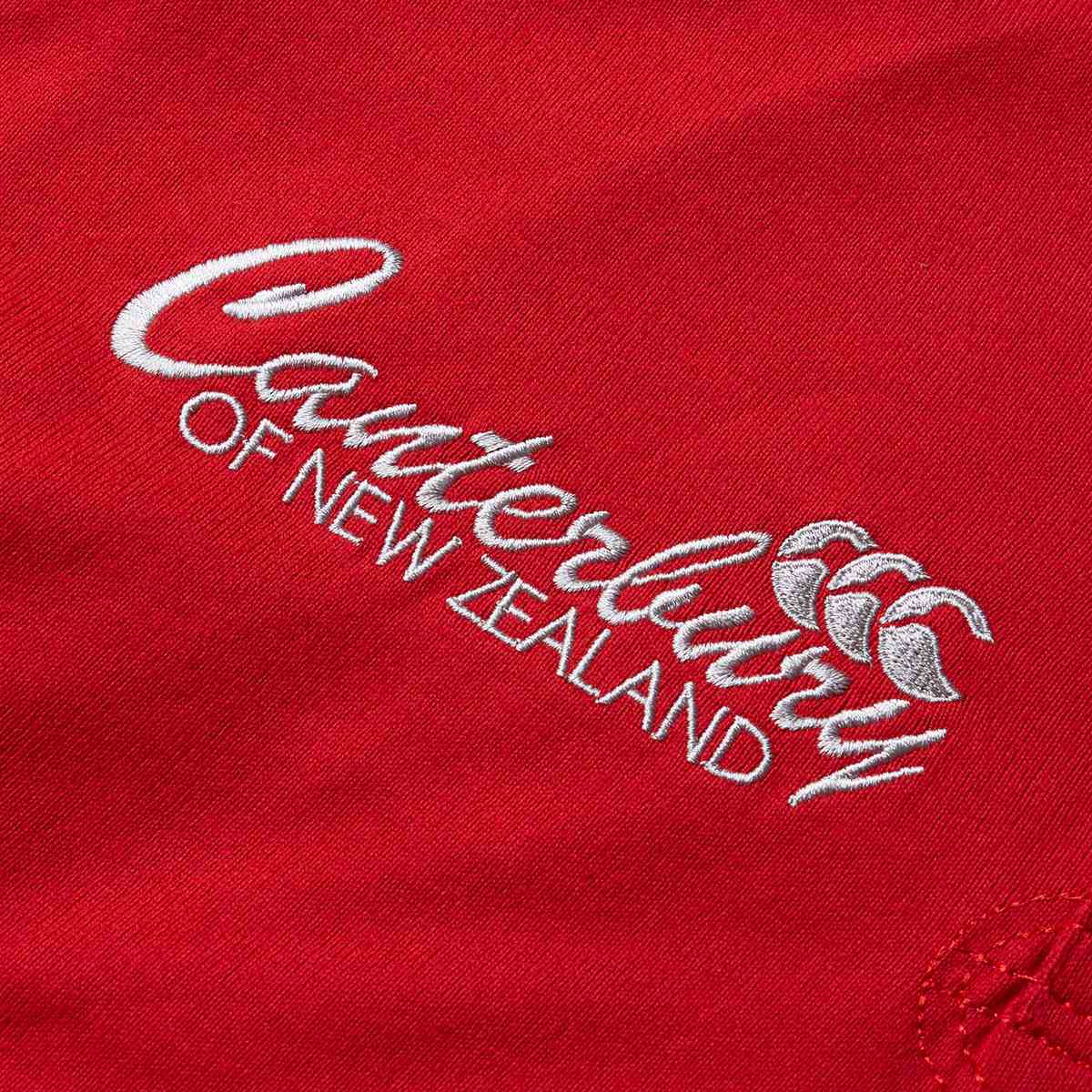 Canterbury British & Irish Lions Rugby 2024/25 Heritage Jersey - Image 8