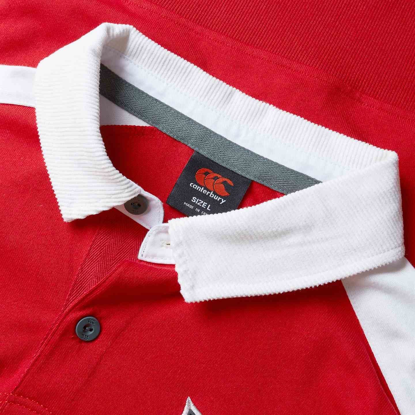 Canterbury British & Irish Lions Rugby 2024/25 Heritage Jersey - Image 9