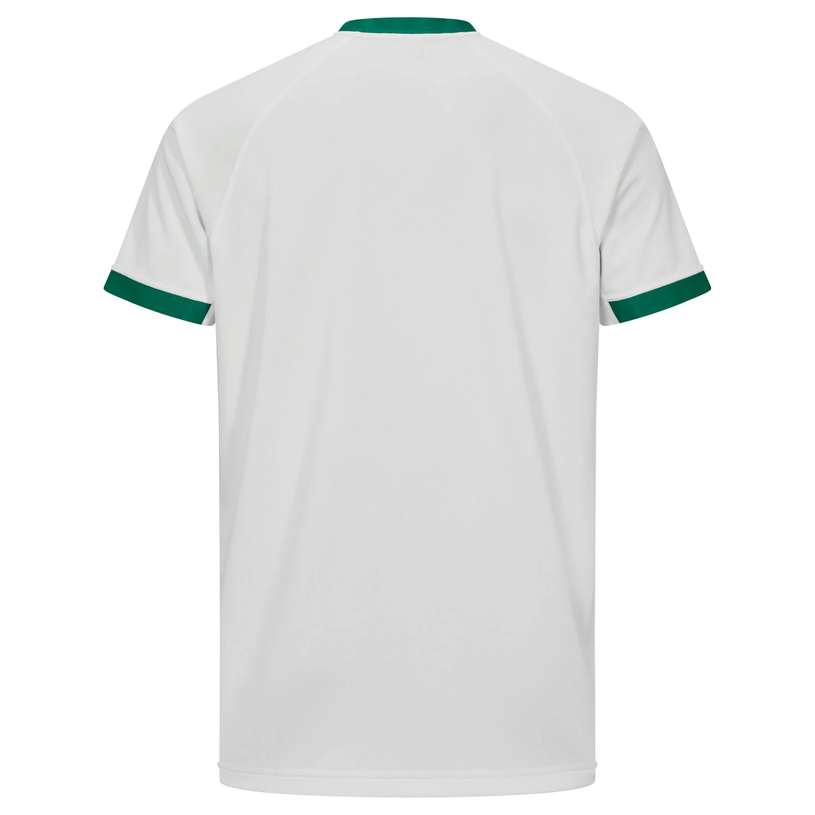 Canterbury IRFU Ireland Rugby 2025/26 Mens Alt Pro Jersey - Image 2
