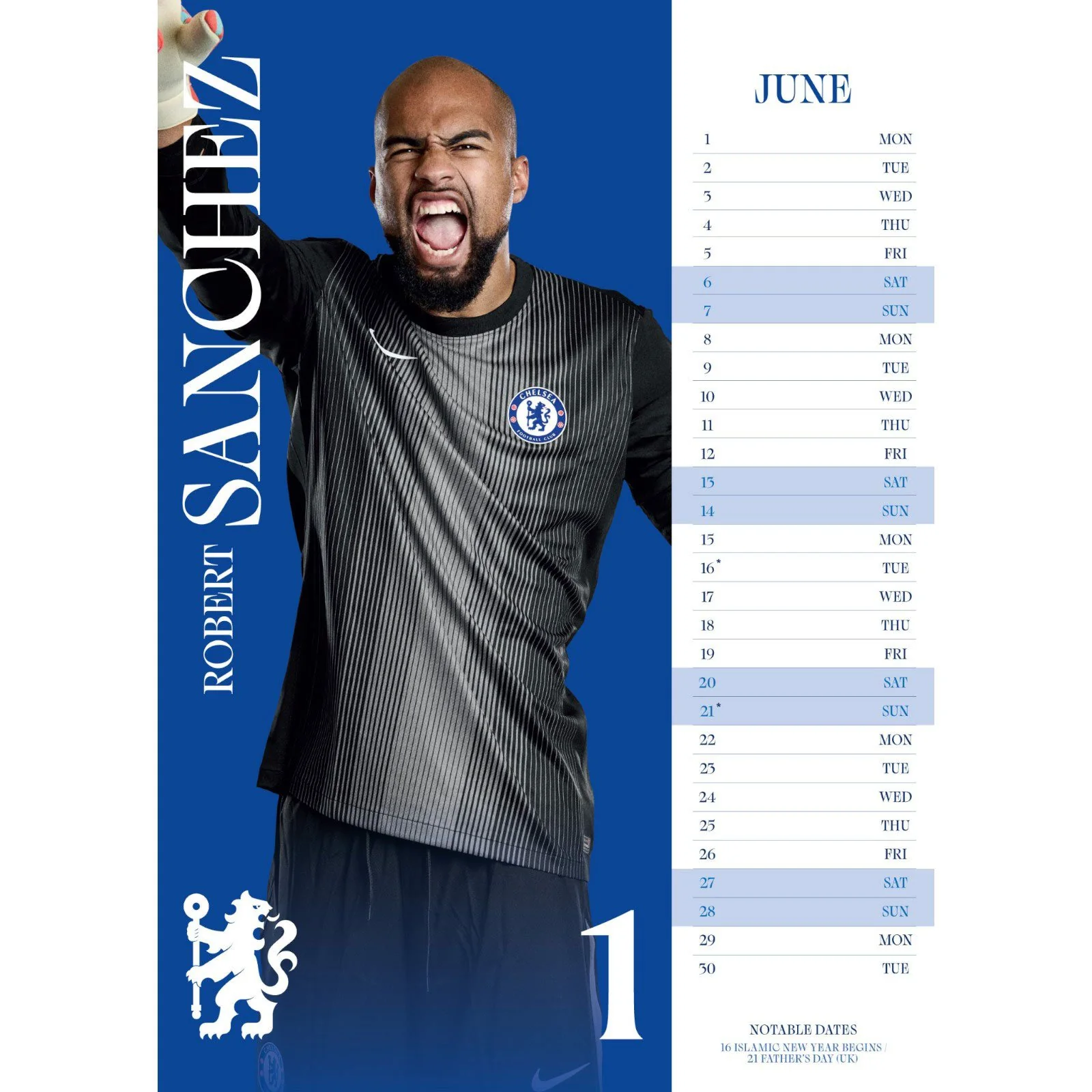 Daricia Chelsea FC 2026 Football Wall Calendar - Image 3