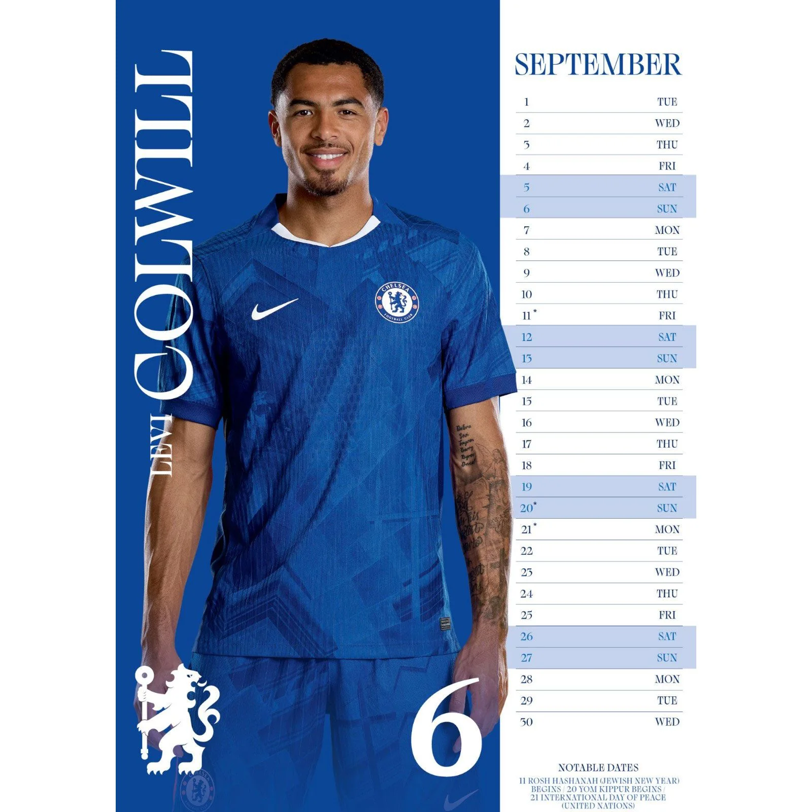 Daricia Chelsea FC 2026 Football Wall Calendar - Image 4