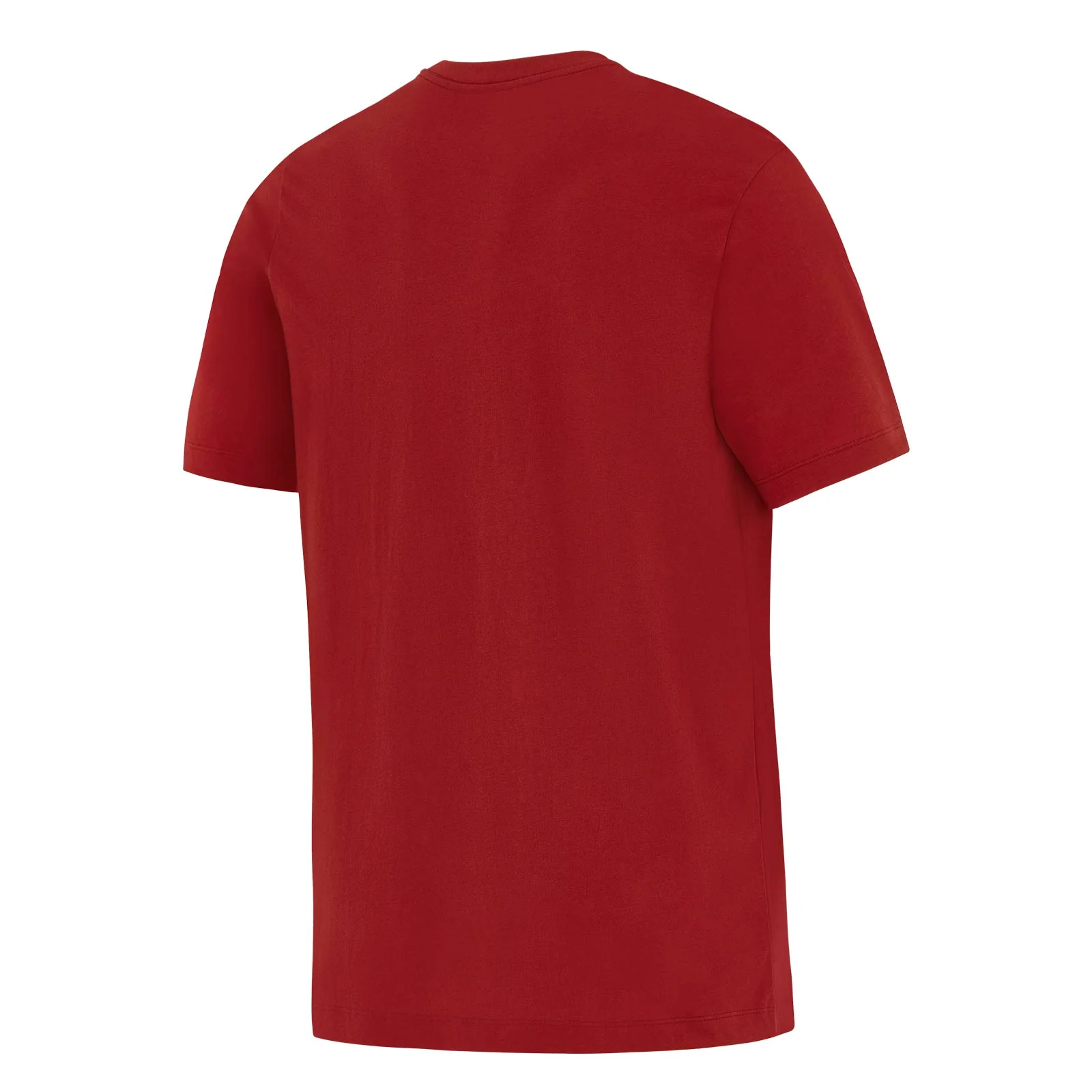 Nike British & Irish Lions Rugby Evergreen Mens T-Shirt - Image 2