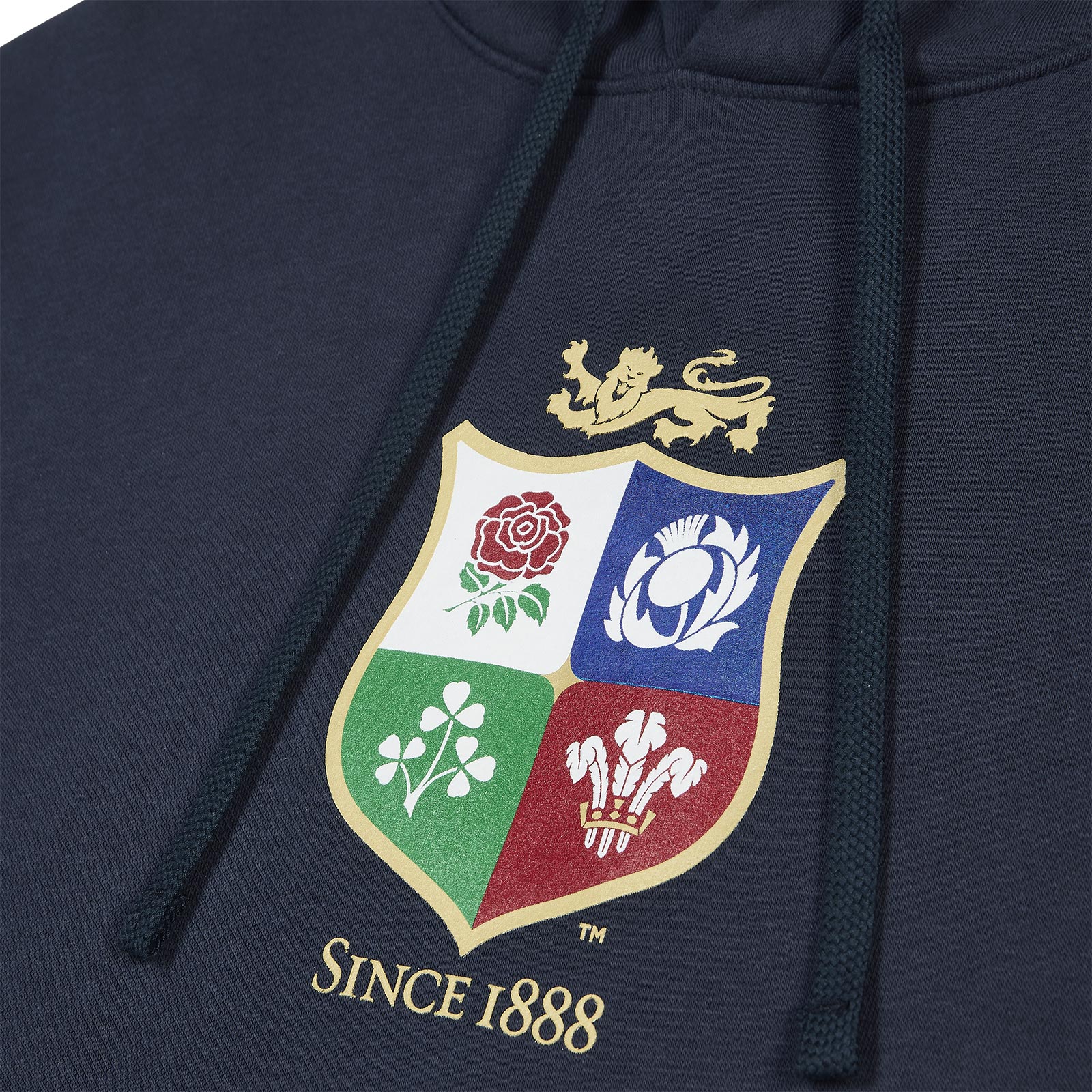 Nike British & Irish Lions Rugby Mens Hoodie - Image 3