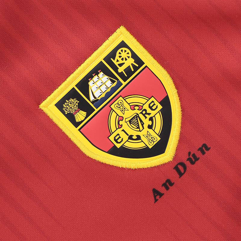O'Neills Down GAA 2025 Home Jersey - Image 3