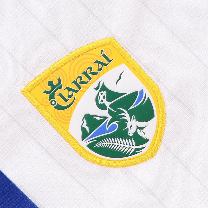 O'Neills Kerry GAA 2025 Alternative Kids Printed Shorts - Image 4