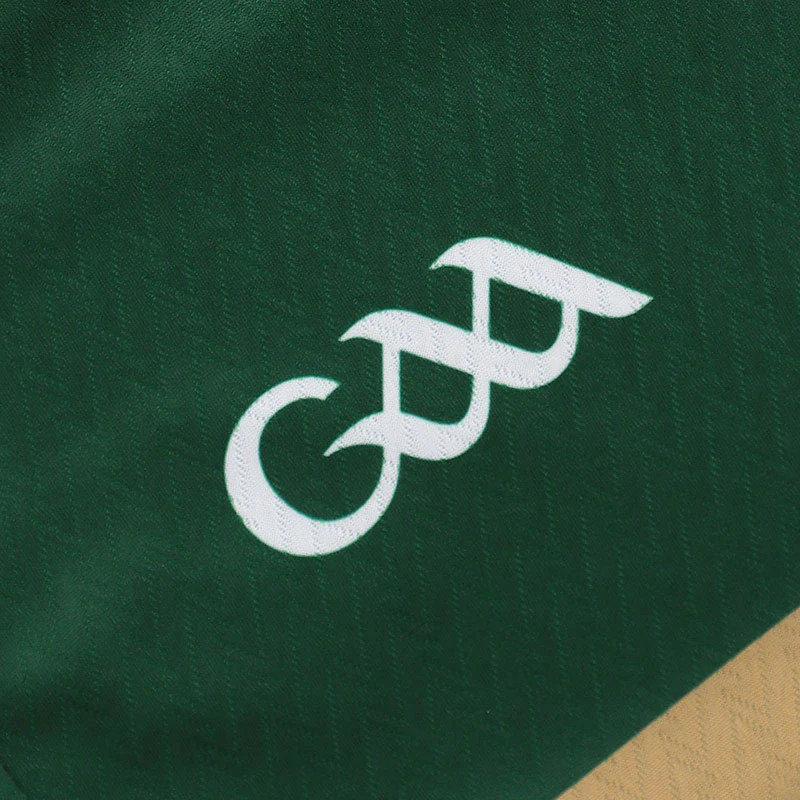 O'Neills Kerry GAA 2026 Player Fit Home Jersey - Image 5