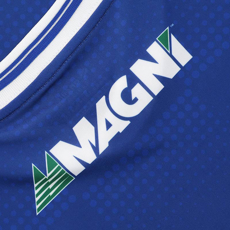 O'Neills Laois GAA 2025 Home Jersey - Image 8