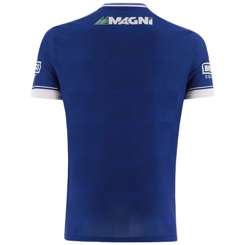 O'Neills Laois GAA 2025 Home Jersey - Image 2