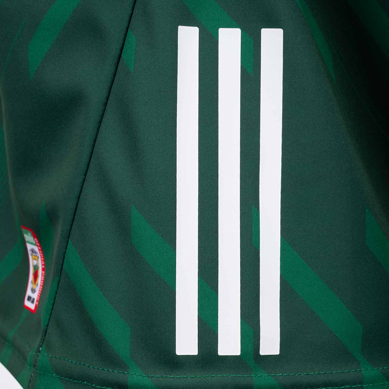 O'Neills Mayo Home 2025 LGFA Womens Jersey - Image 4