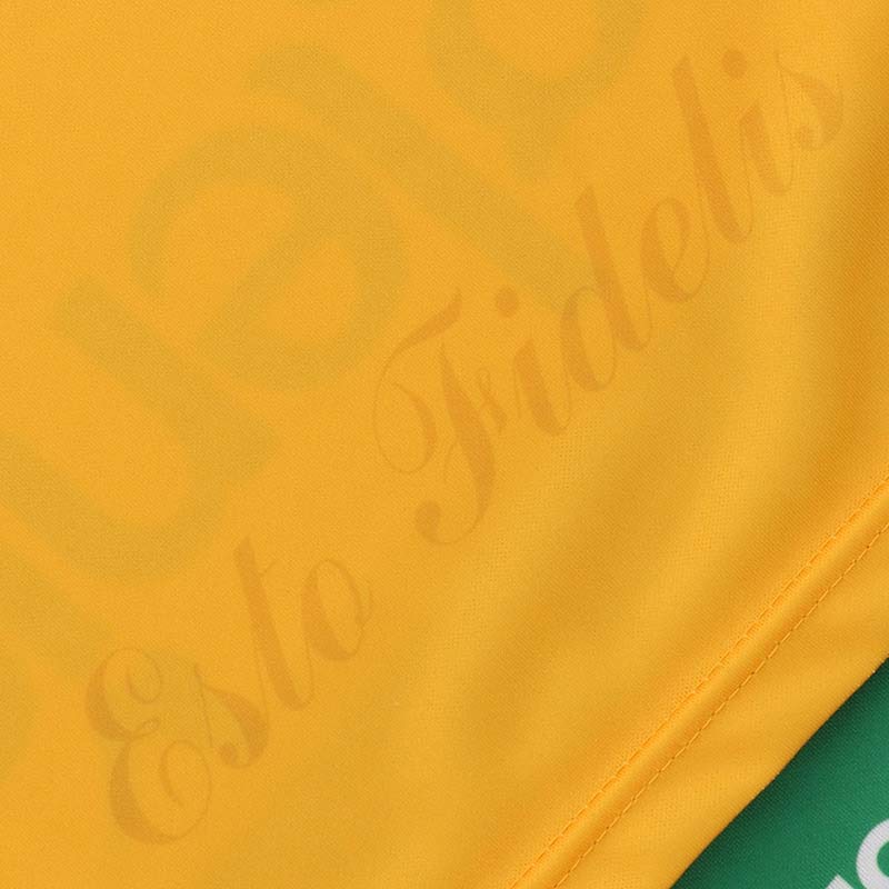 O'Neills Offaly 2024 Home Player Fit Jersey - Image 7