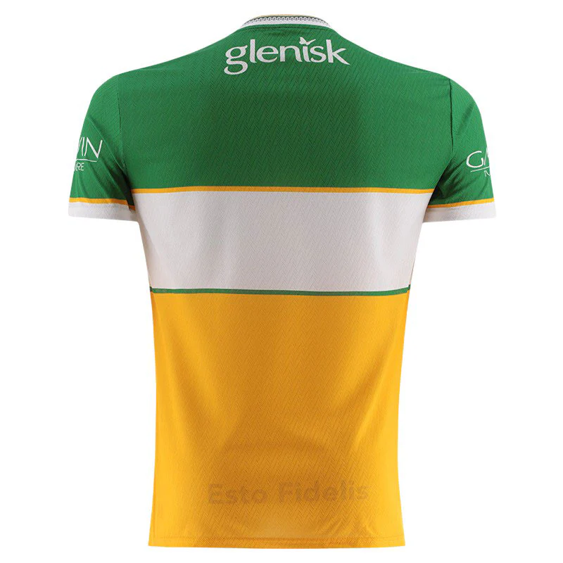 O'Neills Offaly GAA 2026 Player Fit Home Jersey - Image 2