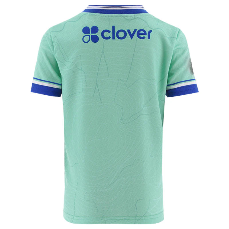 O'Neills Tipperary GAA 2026 Goalkeeper Alternate Kids Jersey - Image 2