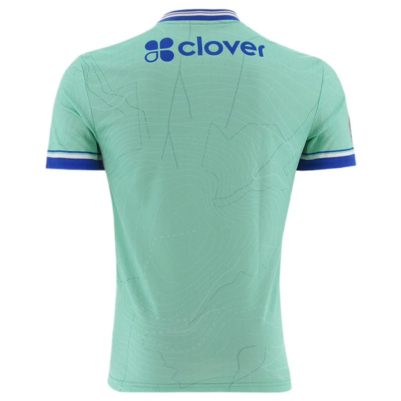 O'Neills Tipperary GAA 2026 Goalkeeper Alternate Player Fit Jersey - Image 2
