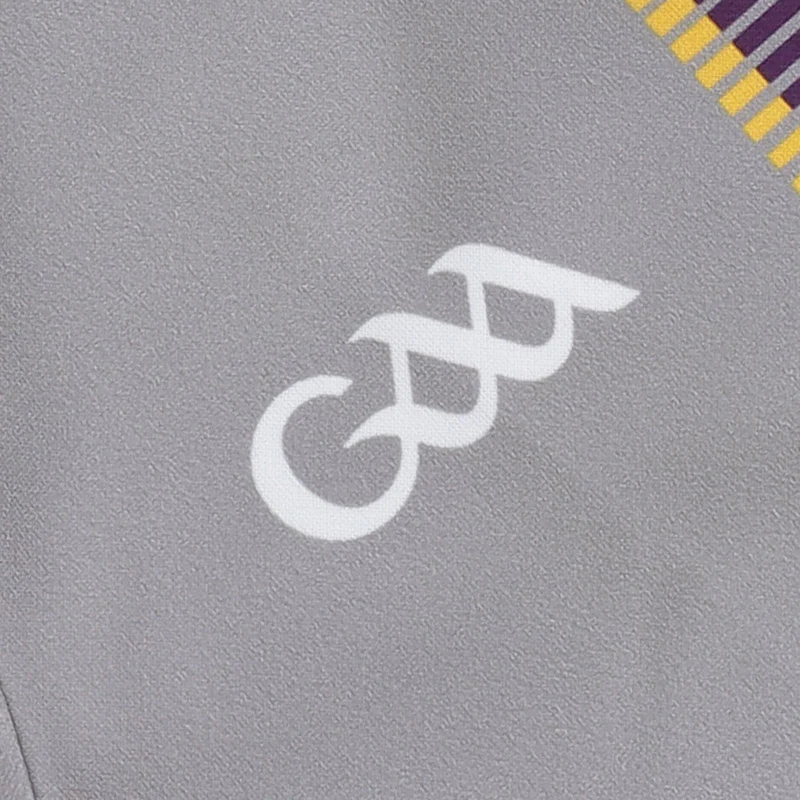 O'Neills Wexford GAA 2025 Alternative Kids Goalkeeper Jersey - Image 9