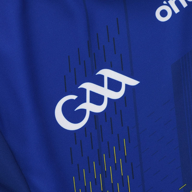 O'Neills Wicklow GAA 2025 Player Fit Home Jersey - Image 6