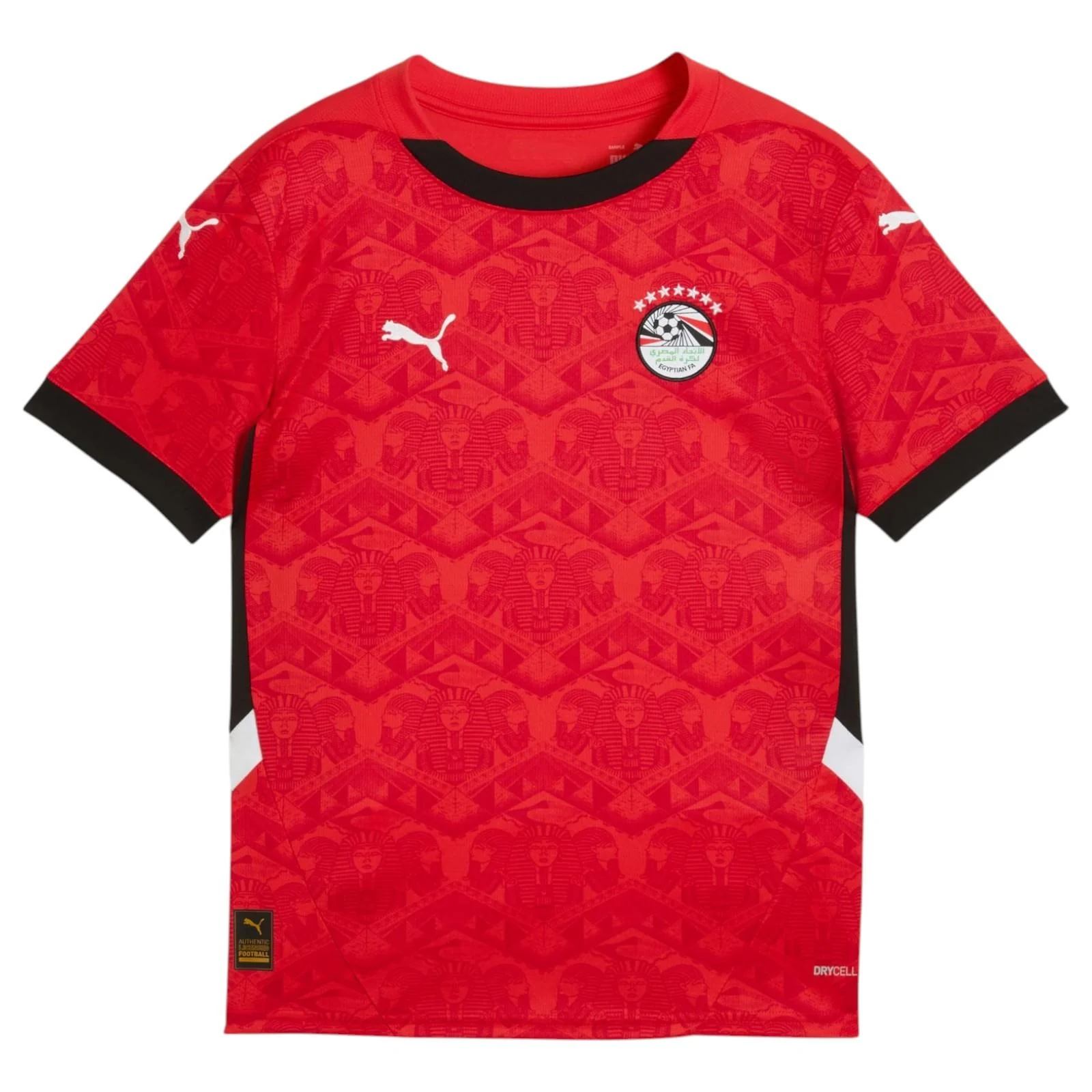 Puma Egypt 2025 Kids Home Jersey - Image 2