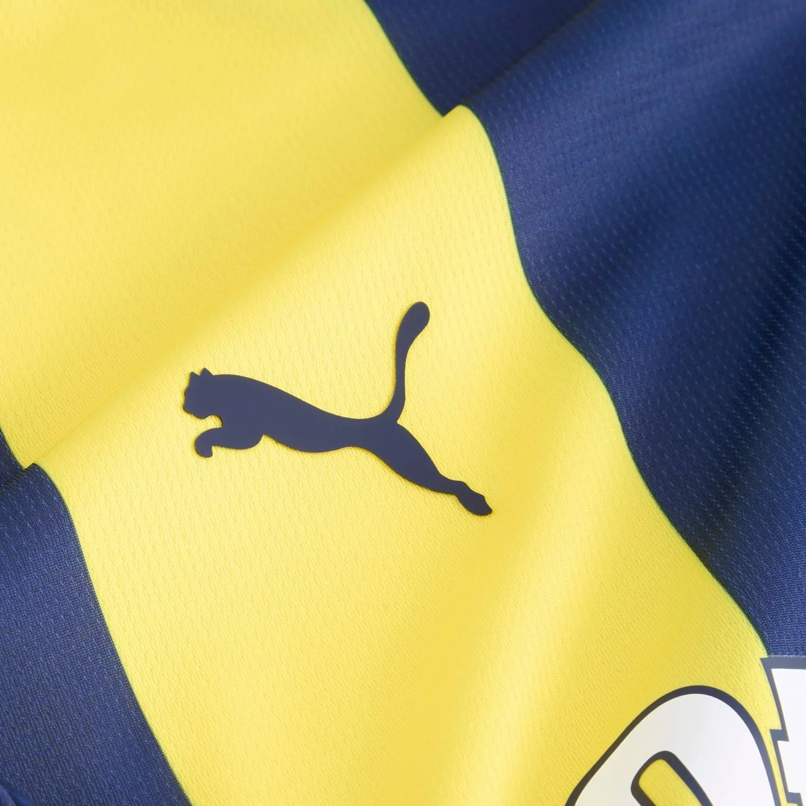 Puma Fenerbahçe Football 2024/25 Kids Home Jersey - Image 5