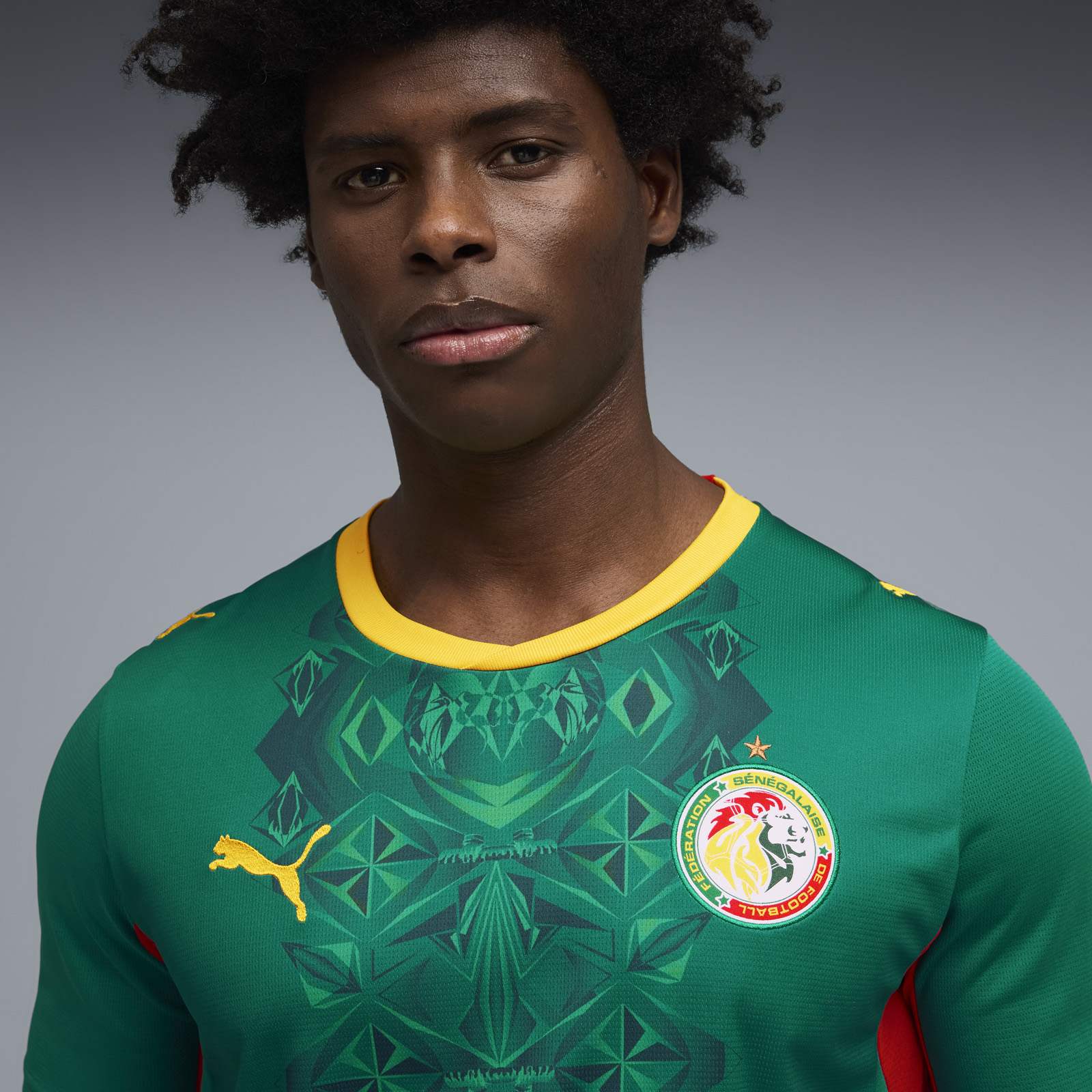 Puma Senegal Football World Cup 2026 Mens Away Jersey - Image 5