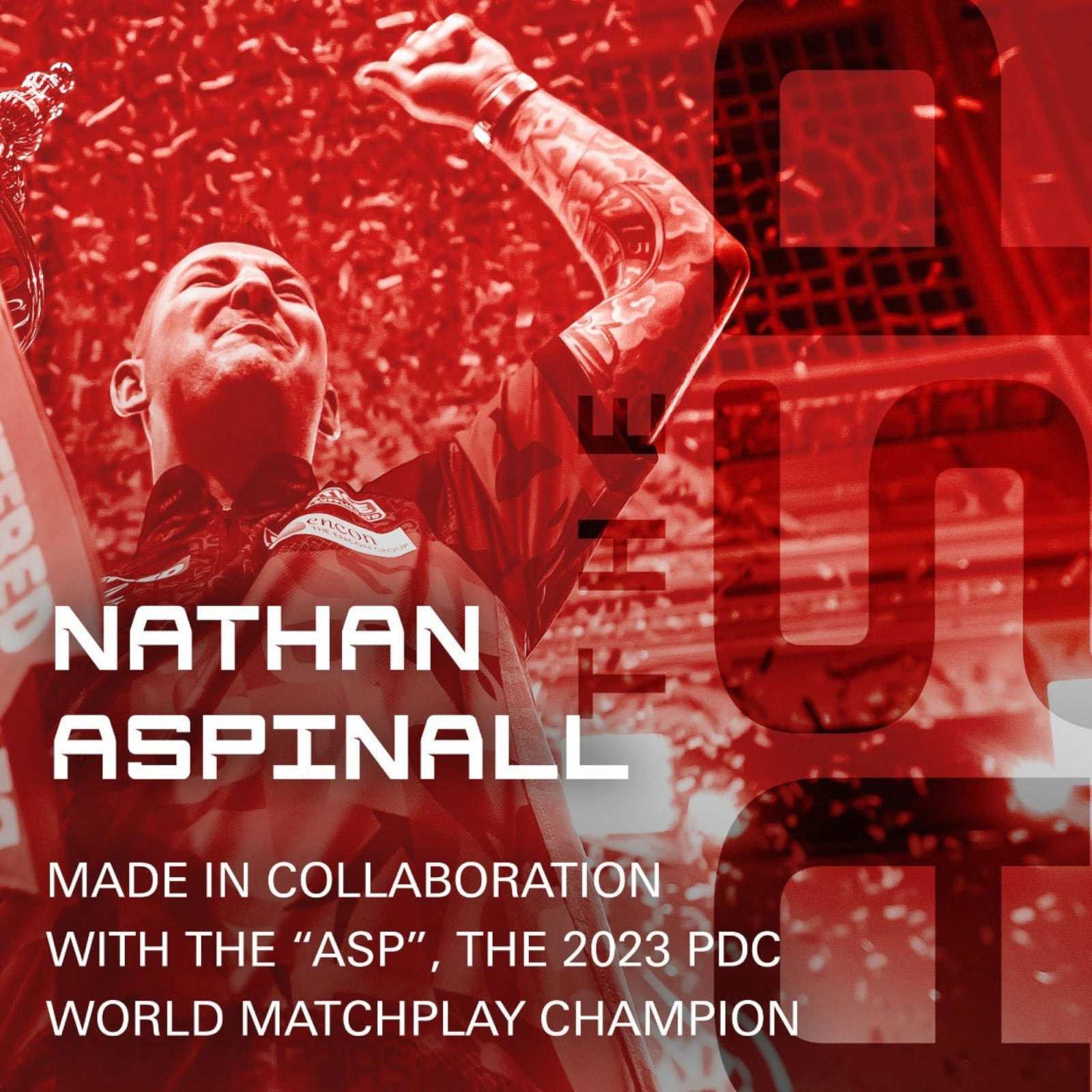 Target Darts Nathan Aspinall 'The Asp' K-Flex No.2 Flights - Image 6