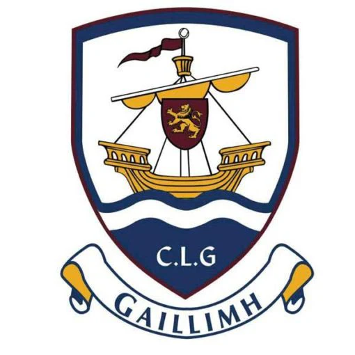 TCF Galway GAA Flag - 5ft x 3ft - Image 2