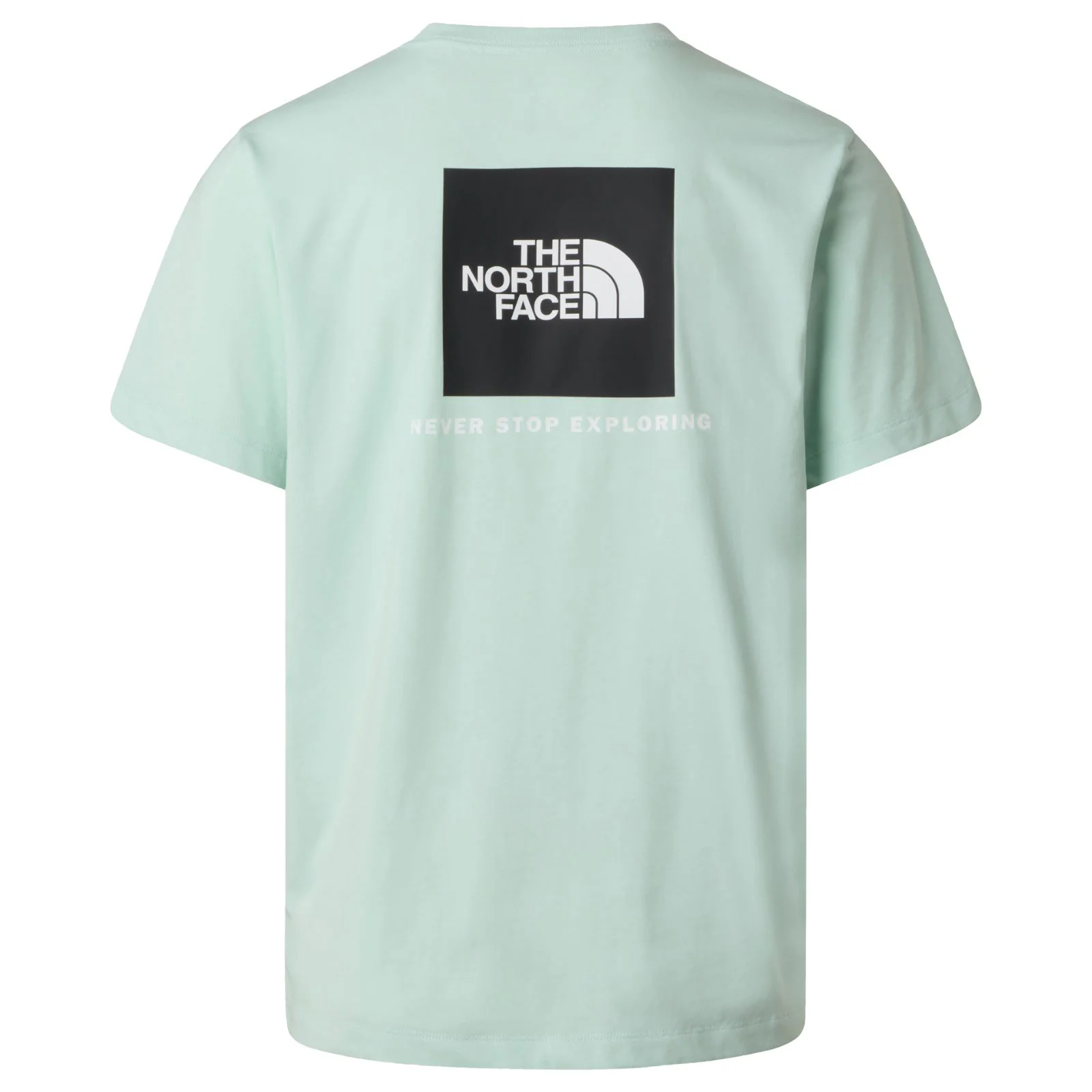 The North Face Evolution NSE Box Mens Regular-Fit T-Shirt - Image 6