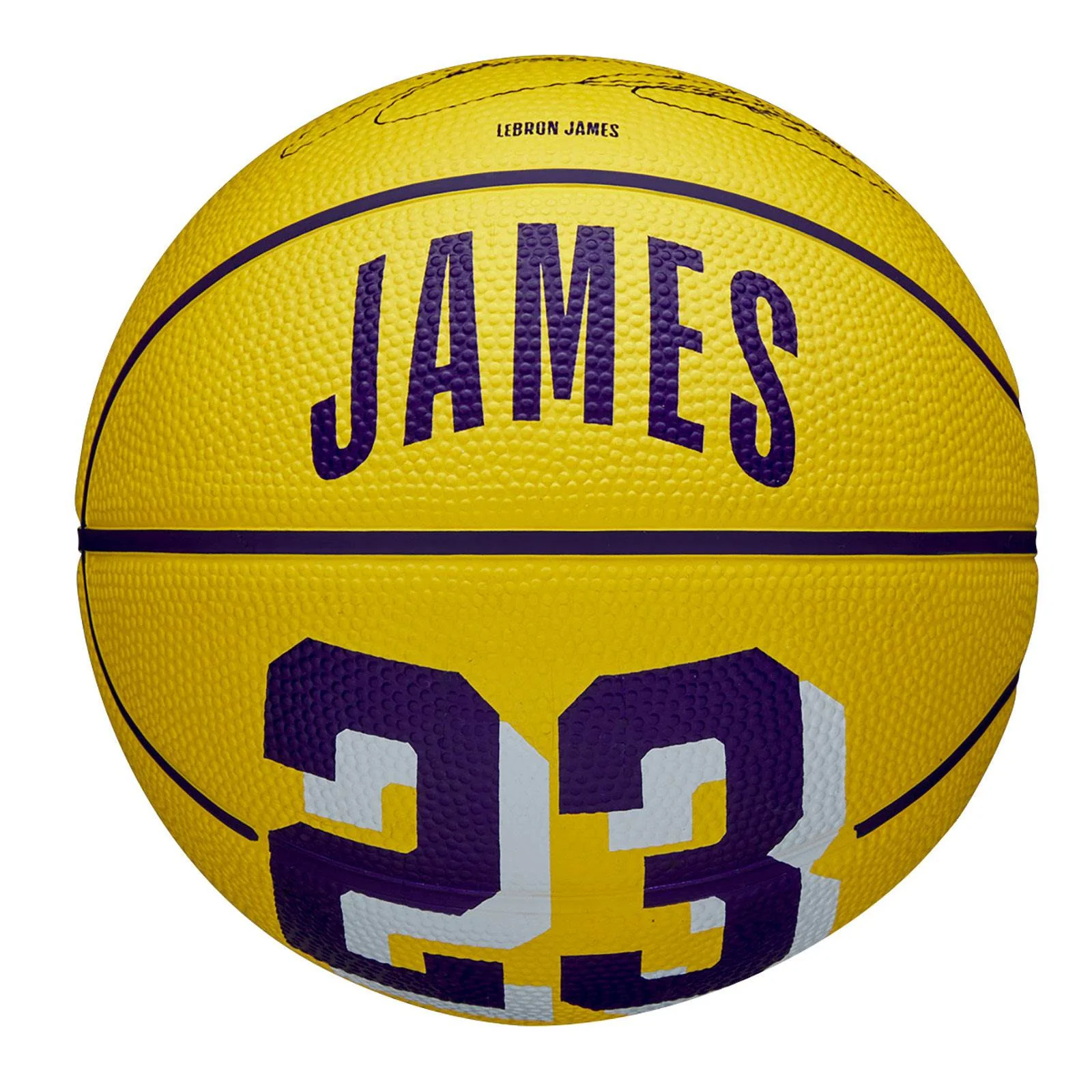 Wilson NBA Icon Mini Basketball - LeBron James