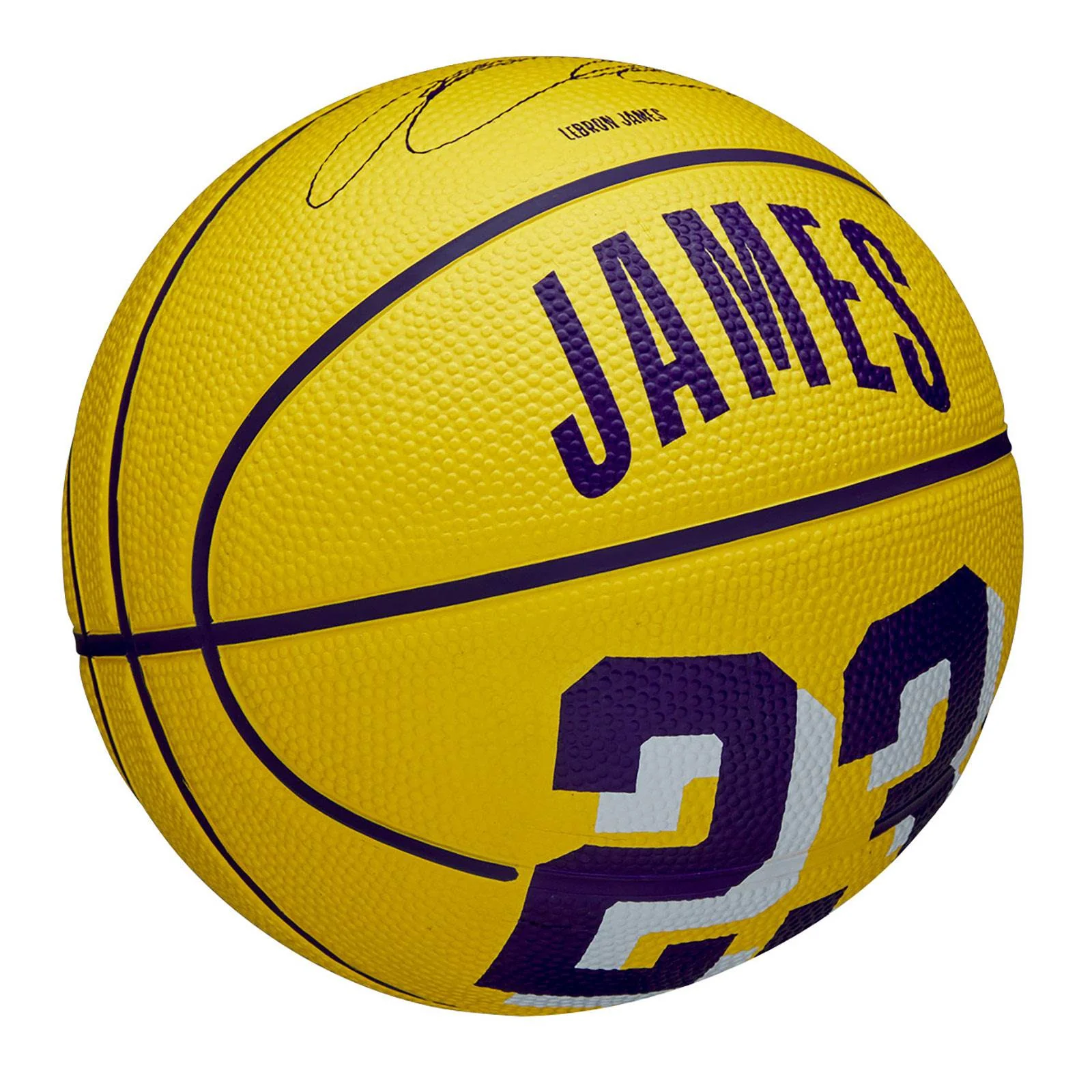 Wilson NBA Icon Mini Basketball - LeBron James - Image 2