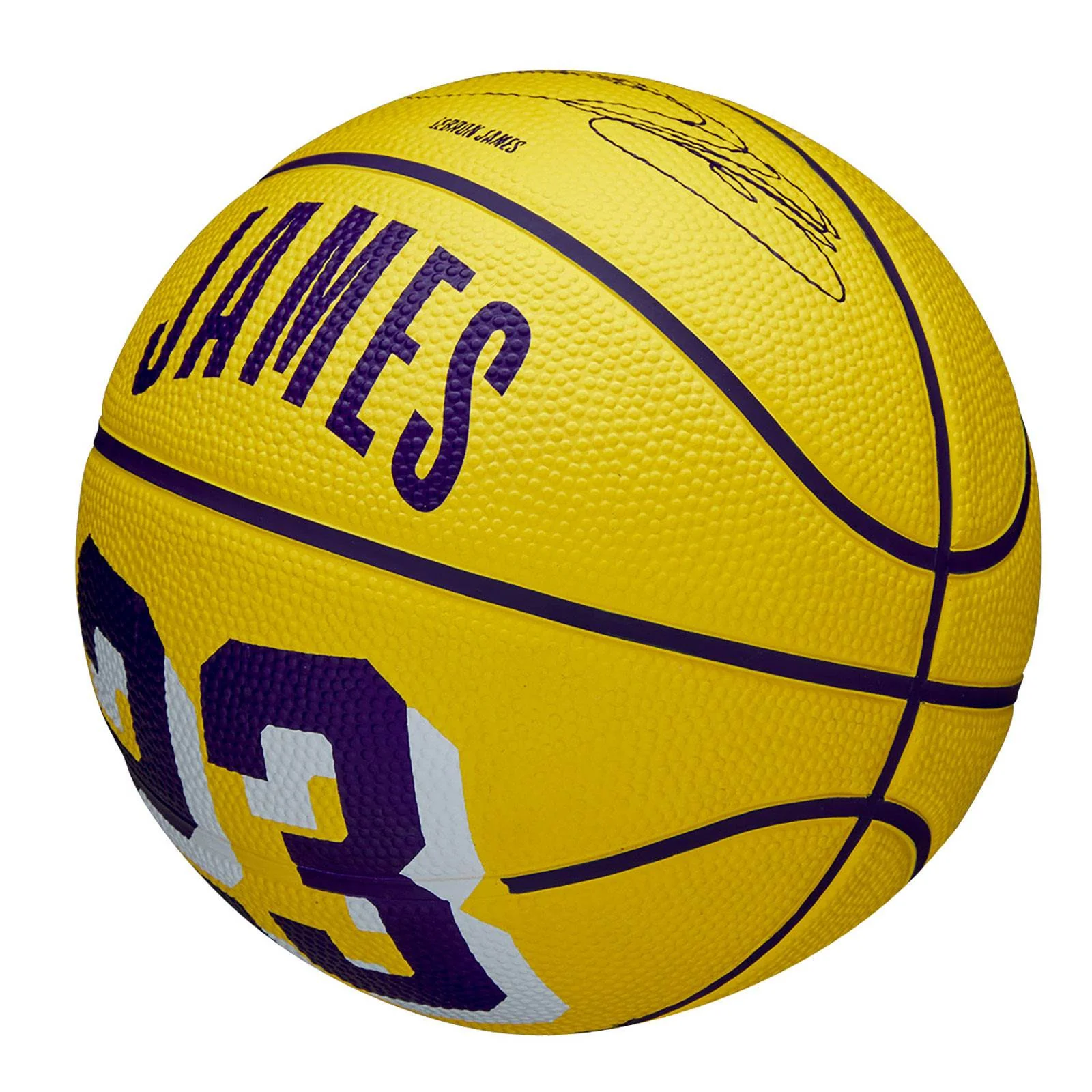 Wilson NBA Icon Mini Basketball - LeBron James - Image 3