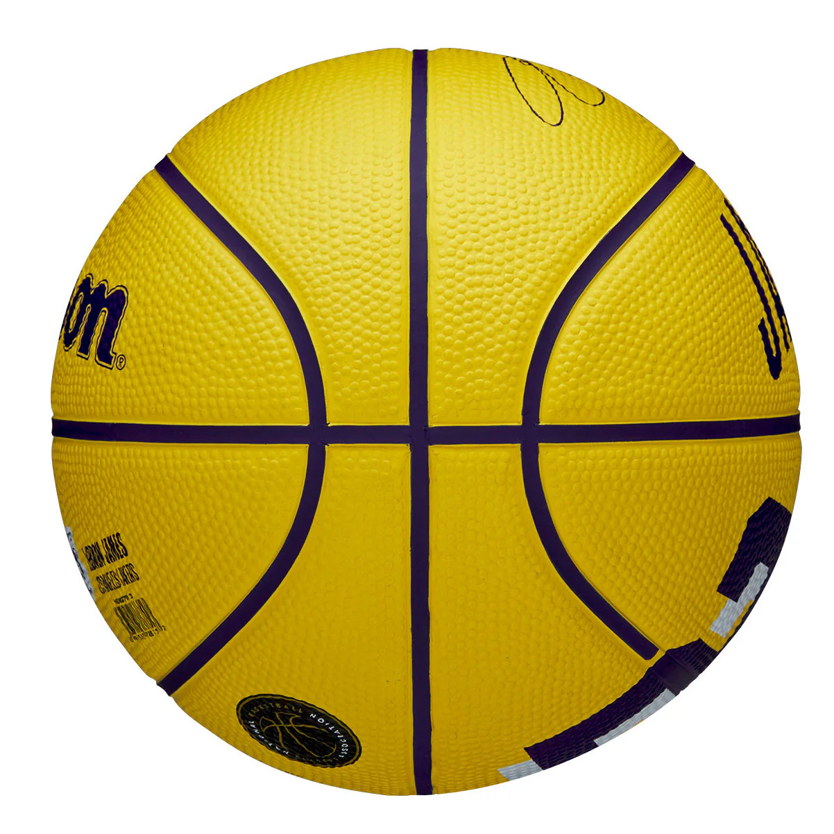 Wilson NBA Icon Mini Basketball - LeBron James - Image 4
