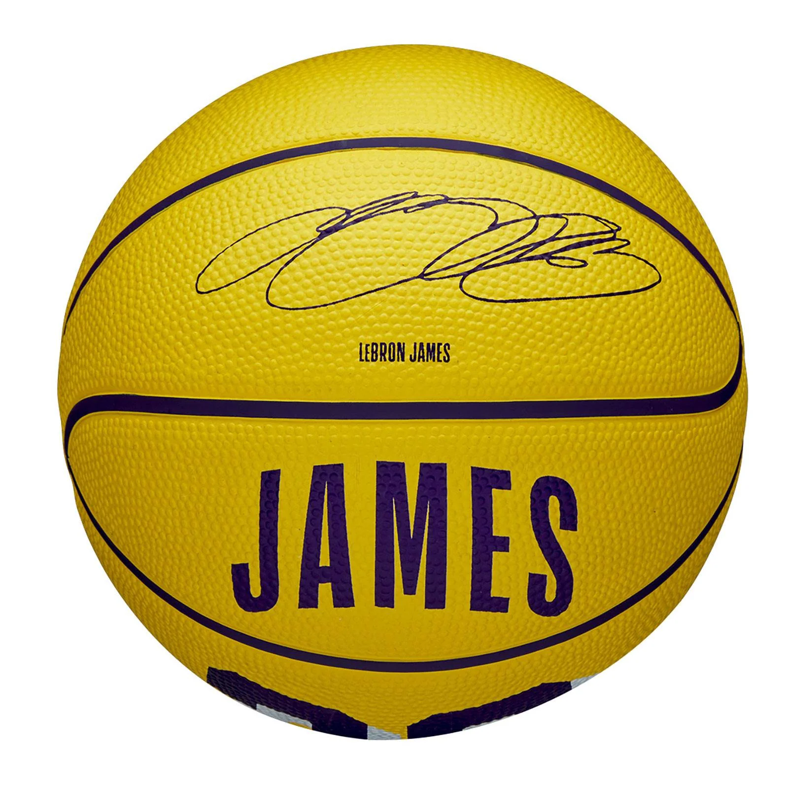 Wilson NBA Icon Mini Basketball - LeBron James - Image 5